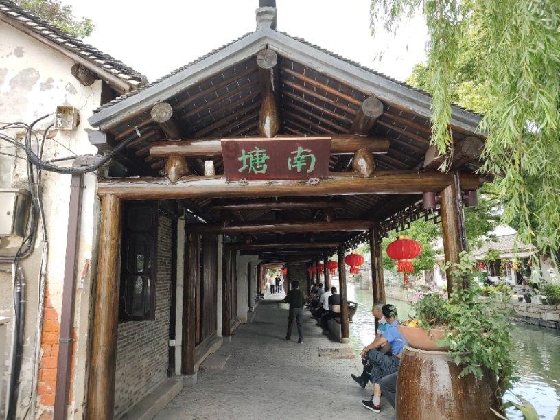 逃离橡子树种植地