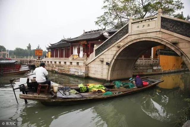 忍者鲨鱼